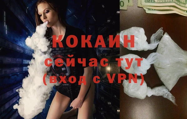 гашик Бабаево