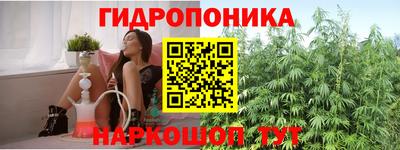 шишки Гусев