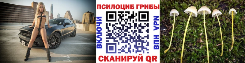 Галлюциногенные грибы прущие грибы  купить наркоту  Лесозаводск 