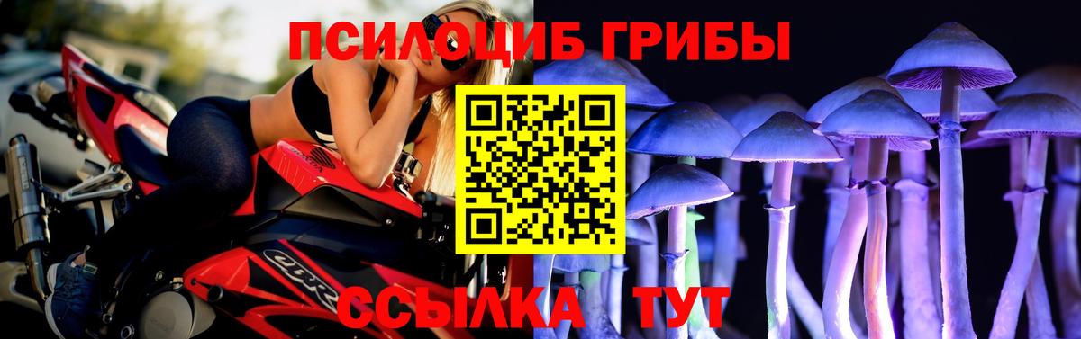 Галлюциногенные грибы прущие грибы Лесозаводск